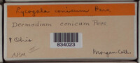 Image Associated With the Occurence